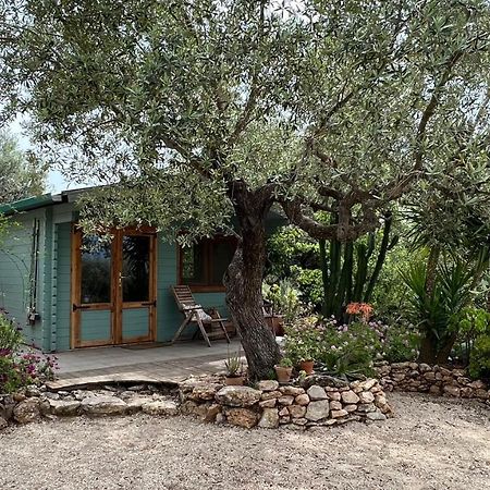 Tivenys Finca Florecer מראה חיצוני תמונה