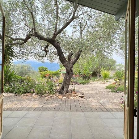 Tivenys Finca Florecer מראה חיצוני תמונה