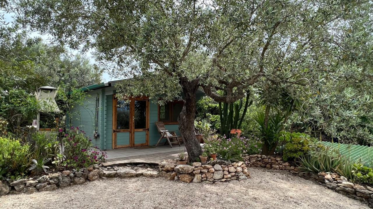 Tivenys Finca Florecer מראה חיצוני תמונה