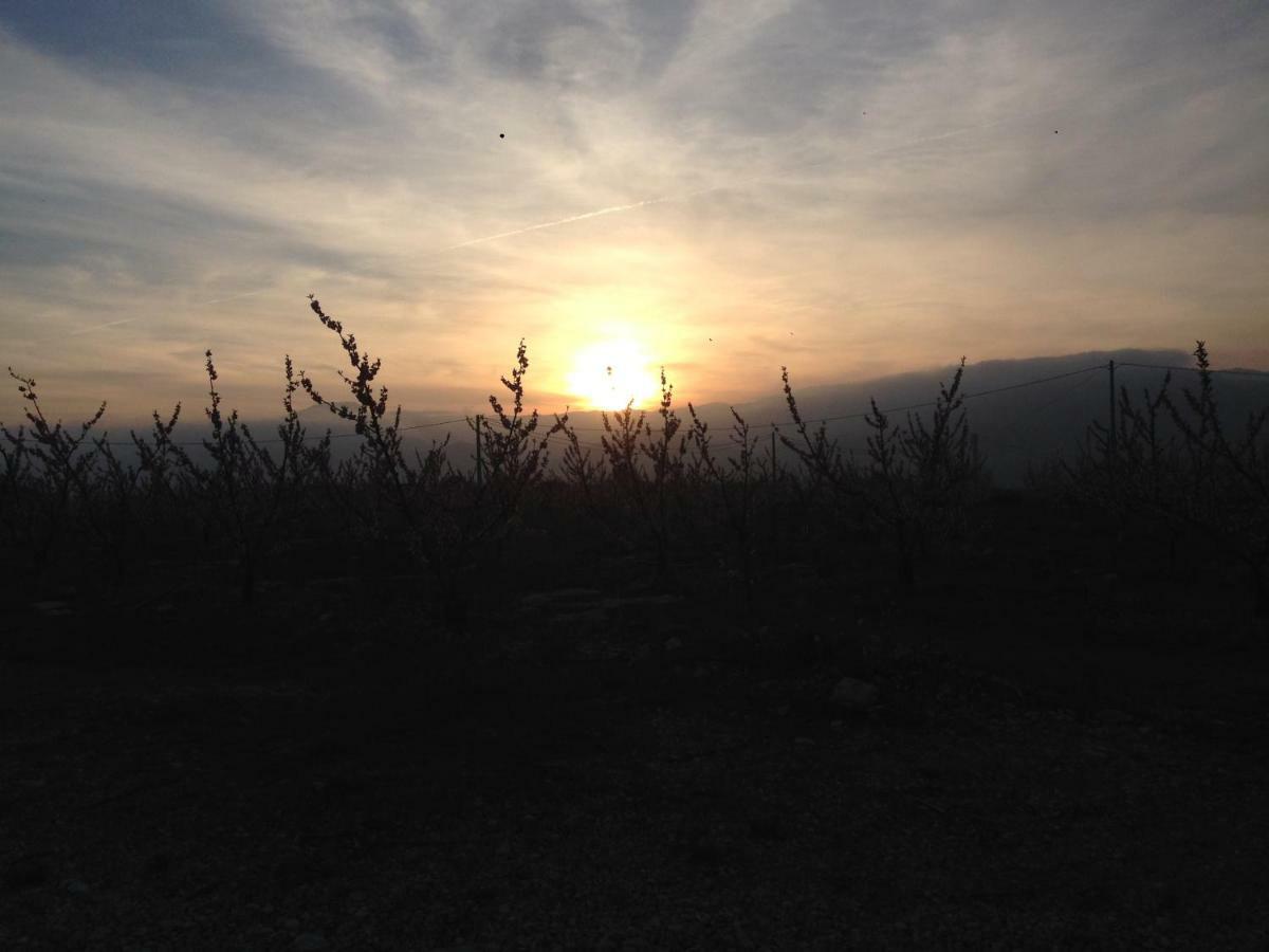 Tivenys Finca Florecer מראה חיצוני תמונה