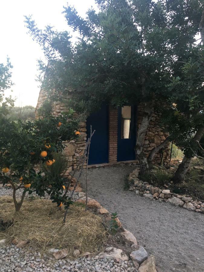 Tivenys Finca Florecer מראה חיצוני תמונה